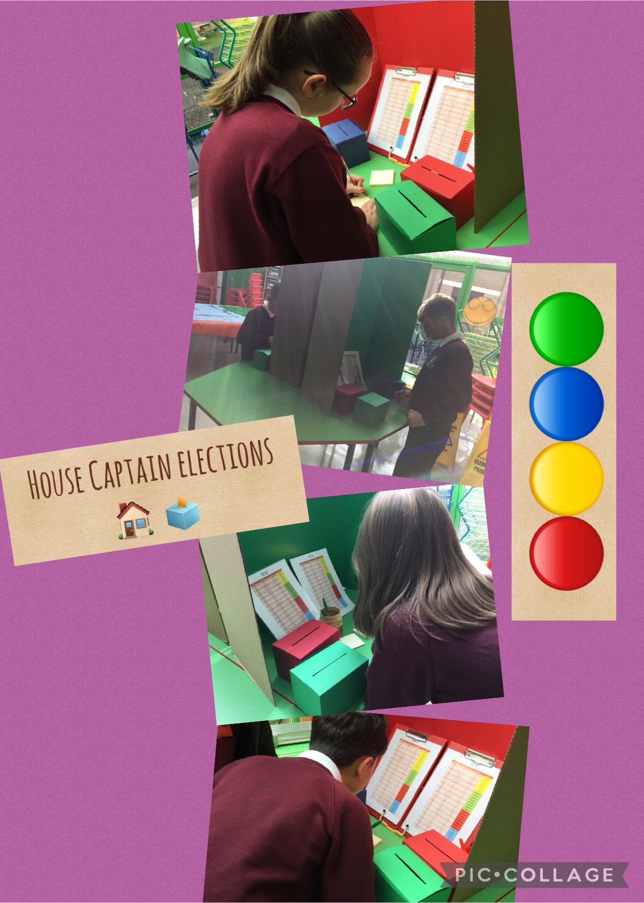 Voting for House Captains